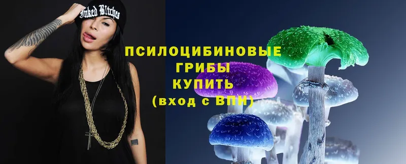 Псилоцибиновые грибы Magic Shrooms  Кущёвская 